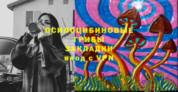 дживик Беломорск