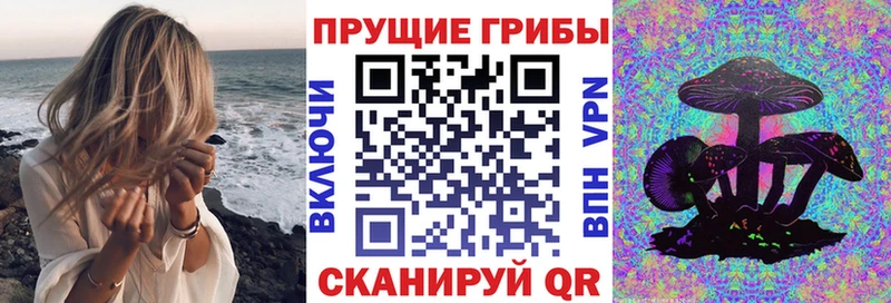Псилоцибиновые грибы мухоморы Гатчина