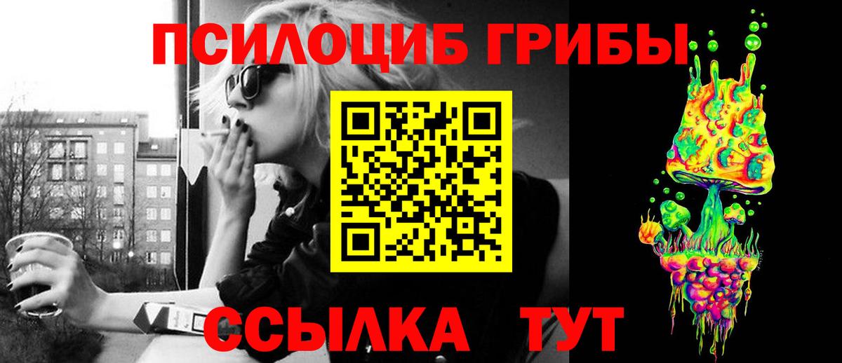 Гатчина  Псилоцибиновые грибы Psilocybine cubensis  Вход с VPN  сколько стоит  Псилоцибиновые грибы прущие грибы 